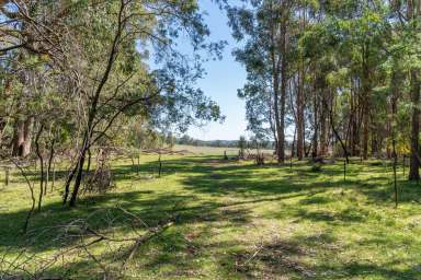 Farm Auction - VIC - Marraweeney - 3669 - "Wonganookah" Privacy-Easy access-Views- Building permit approved!  (Image 2)