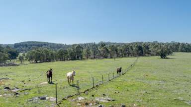 Farm Auction - VIC - Marraweeney - 3669 - "Wonganookah" Privacy-Easy access-Views- Building permit approved!  (Image 2)