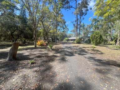 Farm For Sale - QLD - Isis River - 4660 - Spacious 4-Bedroom Home on 93 Acres  (Image 2)