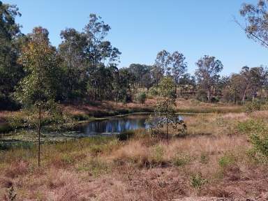 Farm For Sale - QLD - Monduran - 4671 - 69.1 acres only five minutes out of Gin Gin and 35 minutes to Bundaberg  (Image 2)