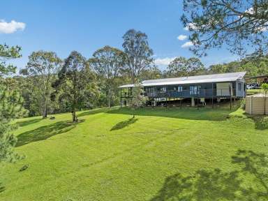 Farm For Sale - QLD - Ocean View - 4521 - Country Living on 5 Picturesque Acres!  (Image 2)