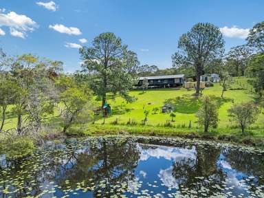 Farm For Sale - QLD - Ocean View - 4521 - Country Living on 5 Picturesque Acres!  (Image 2)