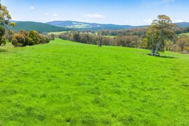 Farm For Sale - VIC - Koetong - 3704 - Upper Murray Vic 269.3*acres/108.9*Ha
Outstanding Smaller Scale Rural Property  (Image 2)