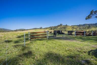 Farm Auction - NSW - Gloucester - 2422 - Introducing Bakers Run: 1200 Acre Opportunity Awaits  (Image 2)