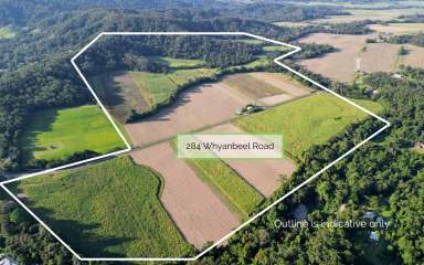 Farm Sold - QLD - Mossman - 4873 - LIVE THE SUSTAINABLE DREAM - LAND, CREEK, HOUSE ON 236 ACRES - PARADISE AWAITS  (Image 2)