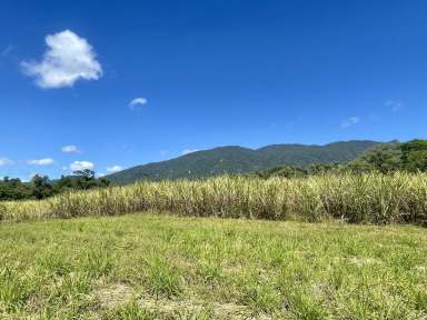 Farm For Sale - QLD - Mossman - 4873 - LIVE THE SUSTAINABLE DREAM - LAND, CREEK, HOUSE ON 236 ACRES - PARADISE AWAITS  (Image 2)