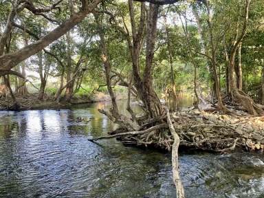 Farm Sold - QLD - Mossman - 4873 - LIVE THE SUSTAINABLE DREAM - LAND, CREEK, HOUSE ON 236 ACRES - PARADISE AWAITS  (Image 2)