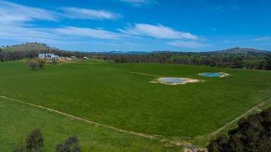 Farm For Sale - NSW - Binalong - 2584 - Quality, Scale, Location & History  (Image 2)