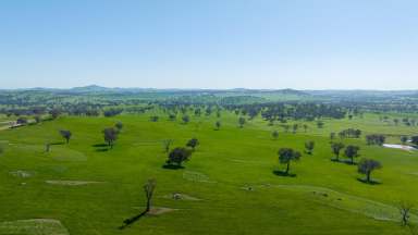 Farm For Sale - NSW - Binalong - 2584 - Quality, Scale, Location & History  (Image 2)