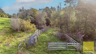 Farm For Sale - VIC - Foster - 3960 - Grazing Land on Edge of Town  (Image 2)