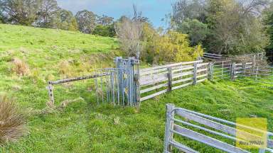 Farm For Sale - VIC - Foster - 3960 - Grazing Land on Edge of Town  (Image 2)