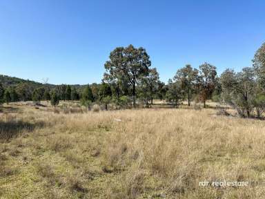 Farm For Sale - NSW - Bundarra - 2359 - AUSSIE BUSH BLOCK  (Image 2)