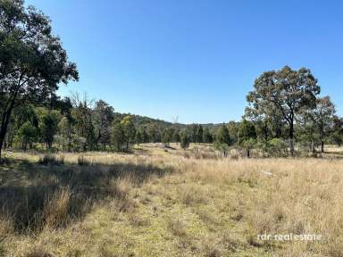 Farm For Sale - NSW - Bundarra - 2359 - AUSSIE BUSH BLOCK  (Image 2)