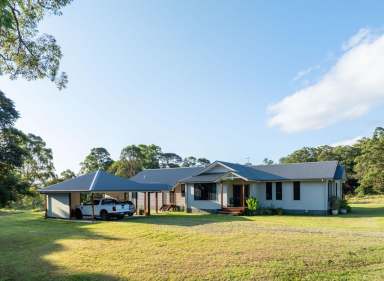 Farm Sold - NSW - Tregeagle - 2480 - Privacy – Views – 32 Acres  (Image 2)