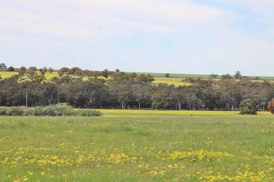 Farm For Sale - WA - Dudinin - 6363 - LIFESTYLE PARADISE (409 acres)  (Image 2)