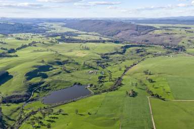 Farm For Sale - TAS - Moltema - 7304 - "Springvale" - Captivating Property in the Meander Valley  (Image 2)