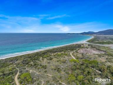 Farm For Sale - TAS - Bicheno - 7215 - Is this the once in a lifetime they talk about?  (Image 2)