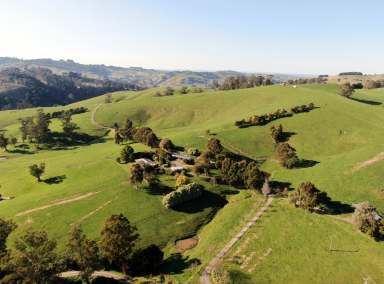 Farm For Sale - VIC - Korumburra - 3950 - City Folk to Cattle Farmer: Your Farming Dream Starts Here!  (Image 2)