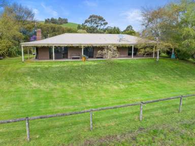 Farm For Sale - VIC - Korumburra - 3950 - City Folk to Cattle Farmer: Your Farming Dream Starts Here!  (Image 2)