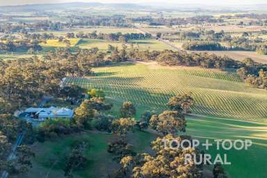 Farm For Sale - SA - Clare - 5453 - Ultimate Country Living: Heritage Estate in South Australia’s Clare Valley  (Image 2)