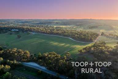 Farm For Sale - SA - Clare - 5453 - Ultimate Country Living: Heritage Estate in South Australia’s Clare Valley  (Image 2)