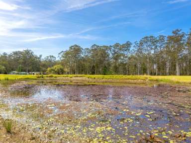 Farm Sold - NSW - Hillville - 2430 - NATURAL PARADISE BACKING BO BO CREEK  (Image 2)