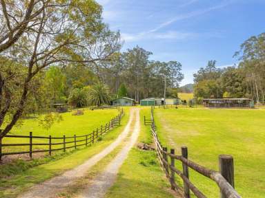 Farm Sold - NSW - Hillville - 2430 - NATURAL PARADISE BACKING BO BO CREEK  (Image 2)