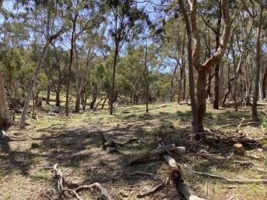 Farm For Sale - VIC - Beaufort - 3373 - 16.18Ha (approx. 40 acres); Bush Block; 2 Titles; Farm Zone  (Image 2)