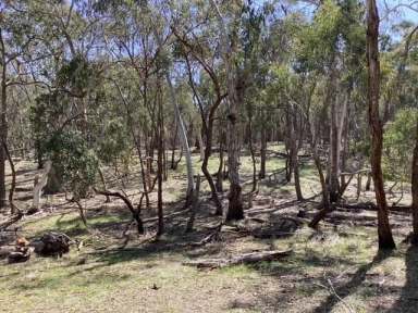 Farm For Sale - VIC - Beaufort - 3373 - 16.18Ha (approx. 40 acres); Bush Block; 2 Titles; Farm Zone  (Image 2)