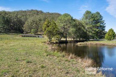 Farm For Sale - NSW - Martinsville - 2265 - 149.99 Acres Of Rural Grazing Land with Multiple Dwellings  (Image 2)