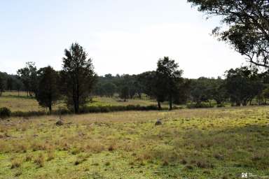 Farm For Sale - NSW - Yeoval - 2868 - YOUR PRIVATE PIECE OF PARADISE  (Image 2)