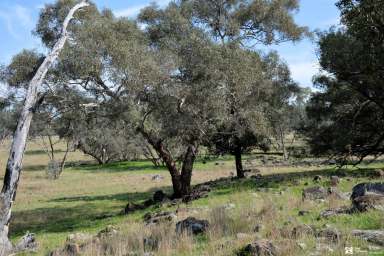 Farm Sold - NSW - Yeoval - 2868 - YOUR PRIVATE PIECE OF PARADISE  (Image 2)