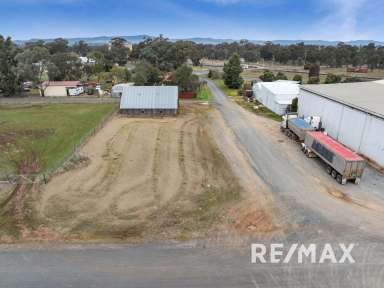 Farm For Sale - NSW - Illabo - 2590 - Nestled in the heart of the charming community of Illabo  (Image 2)