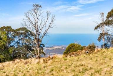 Farm For Sale - NSW - East Kangaloon - 2576 - Breathtaking countryside panoramas  (Image 2)