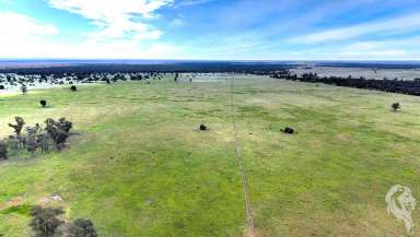 Farm For Sale - NSW - Wee Waa - 2388 - 805 ACRES - MIXED FARMING WITH NOTABLE IMPROVEMENTS  (Image 2)