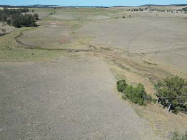 Farm For Sale - QLD - Wondai - 4608 - Country lifestyle on 160 acres  (Image 2)