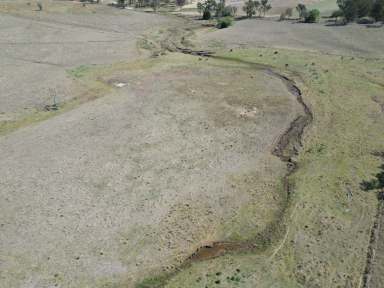 Farm For Sale - QLD - Wondai - 4608 - Country lifestyle on 160 acres  (Image 2)