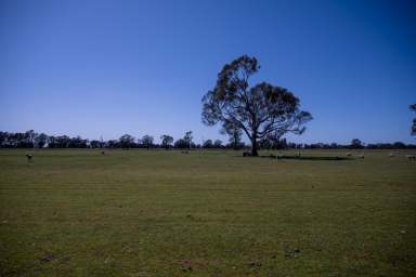 Farm For Sale - VIC - Douglas - 3409 - Southern Space! For Sale By EOI  (Image 2)