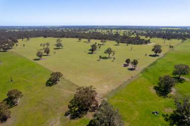 Farm For Sale - VIC - Douglas - 3409 - Southern Space! For Sale By EOI  (Image 2)