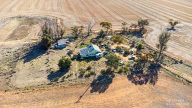 Farm For Sale - VIC - Berriwillock - 3531 - Serene Rural Retreat: 5.3 Acre Property with Renovation Potential  (Image 2)