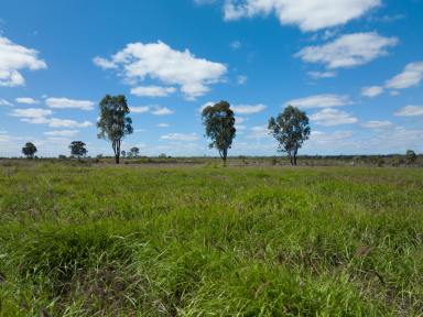 Farm For Sale - QLD - Middlemount - 4746 - Prime Isaac River Cattle Country  (Image 2)