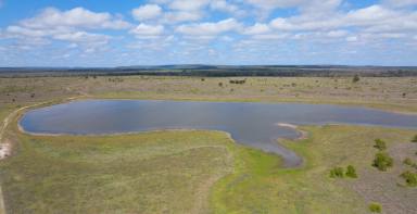 Farm For Sale - QLD - Middlemount - 4746 - Prime Isaac River Cattle Country  (Image 2)