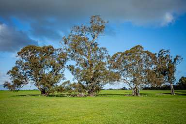 Farm For Sale - VIC - Ullswater - 3318 - Gunnadoo  (Image 2)