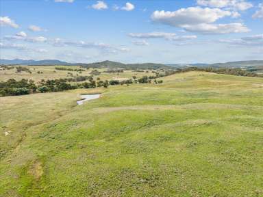 Farm For Sale - NSW - Anembo - 2621 - 234 acre grazing ~ Water ~ Mountain Views ~ Building Entitlement  (Image 2)