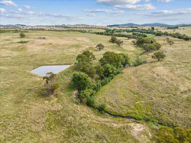 Farm For Sale - NSW - Captains Flat - 2623 - 234 acre grazing ~ Water ~ Mountain Views ~ Building Entitlement  (Image 2)