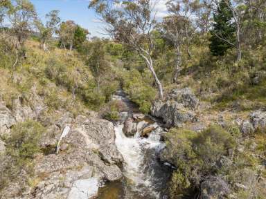 Farm For Sale - NSW - Anembo - 2621 - 234 acre grazing ~ Water ~ Mountain Views ~ Building Entitlement  (Image 2)