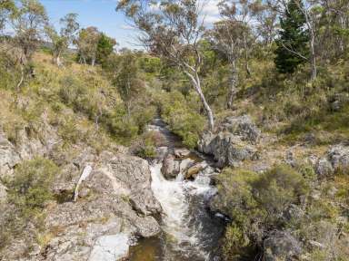 Farm For Sale - NSW - Captains Flat - 2623 - 234 acre grazing ~ Water ~ Mountain Views ~ Building Entitlement  (Image 2)