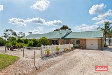 Farm For Sale - SA - Gawler Belt - 5118 - UNDER CONTRACT BY CHRISTOPHER HURST  (Image 2)