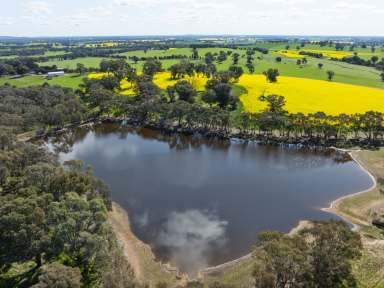 Farm For Sale - VIC - Bungeet West - 3726 - ‘ST. HILLIER’ – 773HA – High Production, Quality Improvement, Assured Investment  (Image 2)