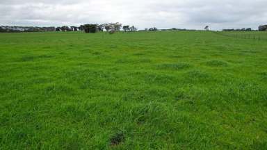 Farm For Sale - VIC - Wangoom - 3279 - Picturesque – Position – Productivity  (Image 2)